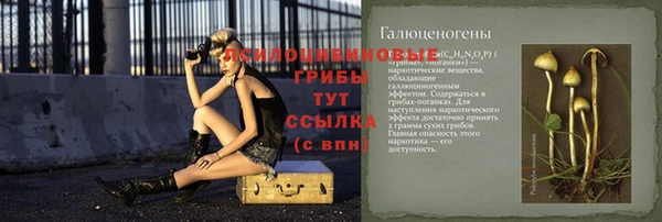 мдпв Покров