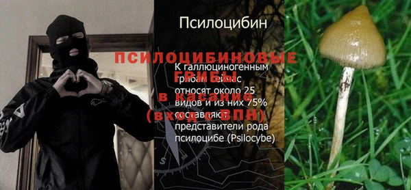 мдпв Покров