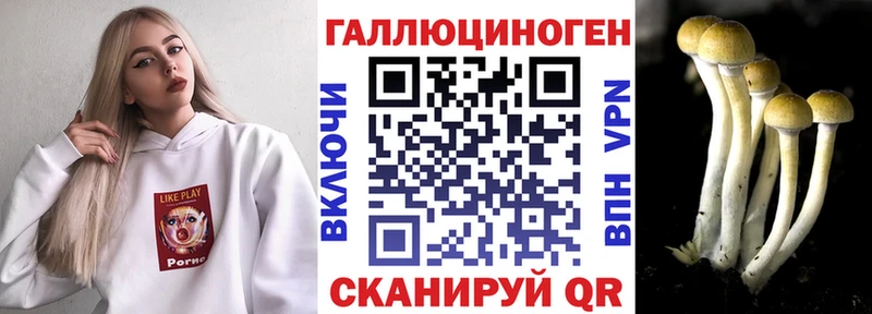 Купить  Сосновоборск  Галлюциногенные грибы Psilocybine cubensis 