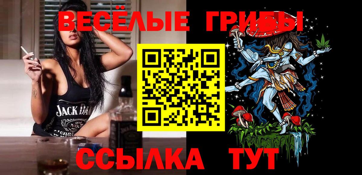 Сосновоборск  Галлюциногенные грибы Psilocybine cubensis  Вход с VPN 