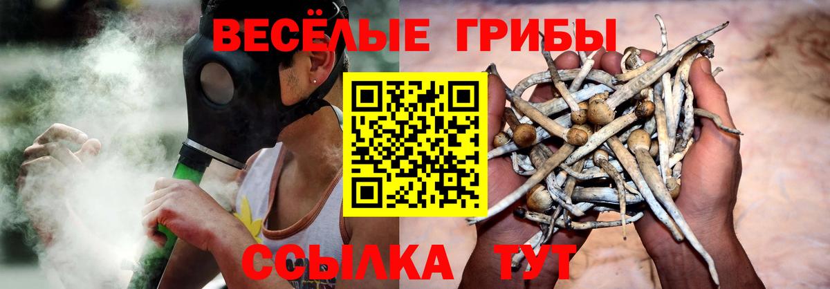 Псилоцибиновые грибы ЛСД  Сосновоборск 