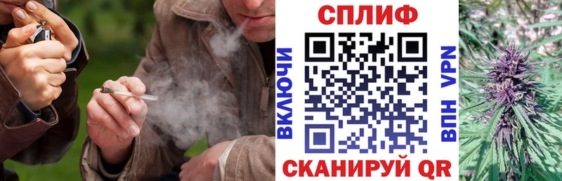 Купить закладки  Сосновоборск  Марихуана SATIVA & INDICA 